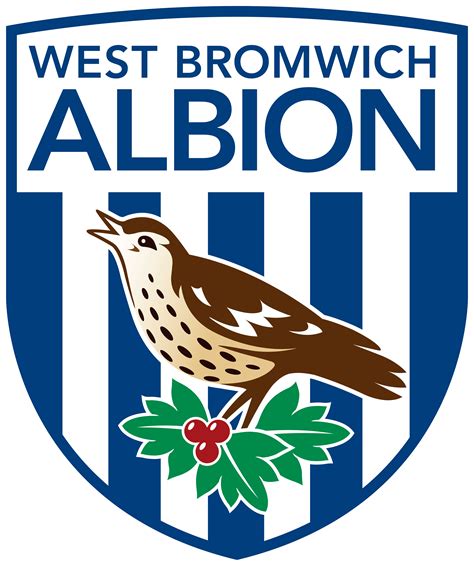 west brom albion